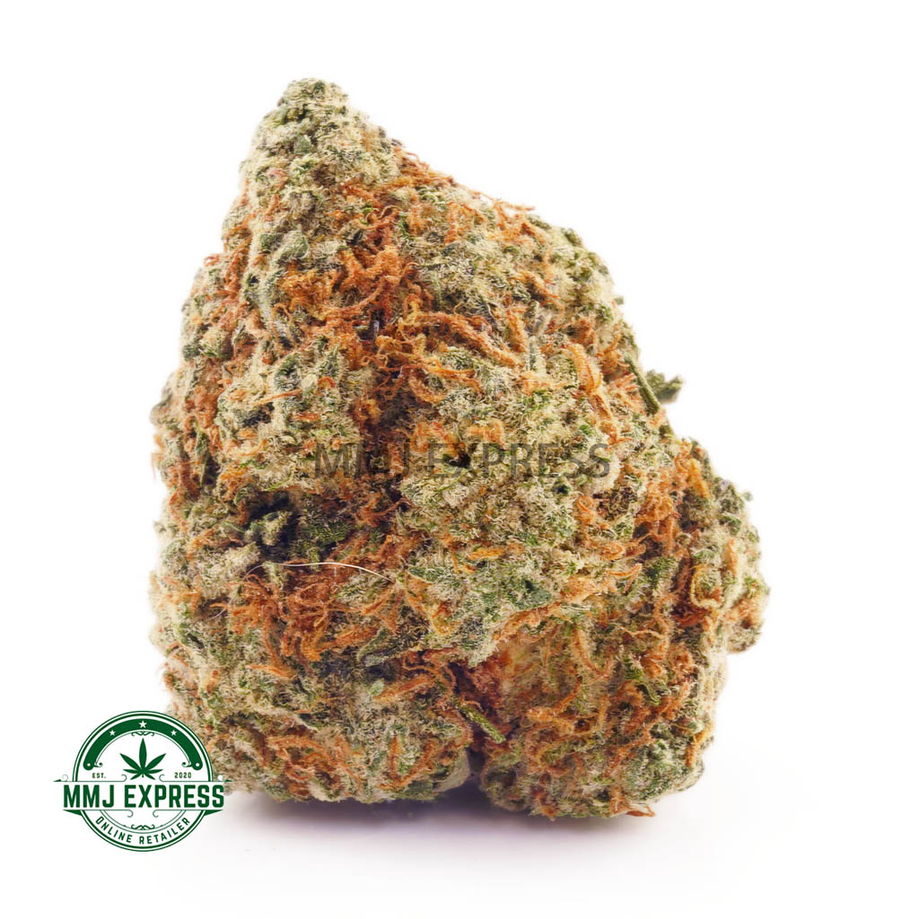 Buy Cannabis Blueberry Parfait AAA at MMJ Express Online Shop