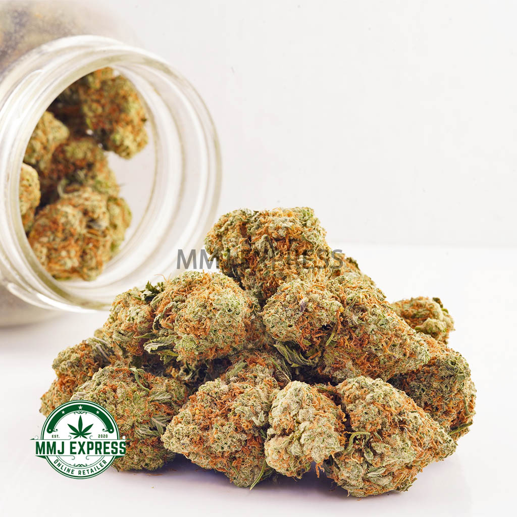 Buy Cannabis Blueberry Parfait AAA at MMJ Express Online Shop