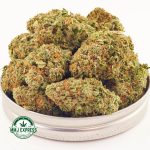 Buy Cannabis Girl Scout Cookies AAAA MMJ Express Online Shop