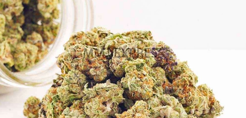 Looking for high-quality weed for cheap? We have premium AAAA-grade Do Si Dos popcorn buds for sale at our online store!
