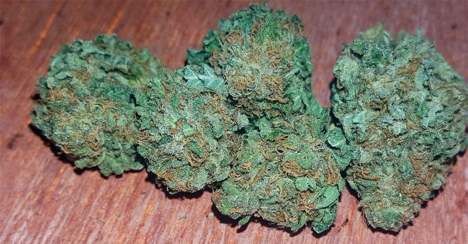 Buy Alien OG AA budget bud now from MMJ Express online weed store. Explore our cannabis store for mail order marijuana, cheap canna, bc cannabis, mota, nerd ropes, shroom express.