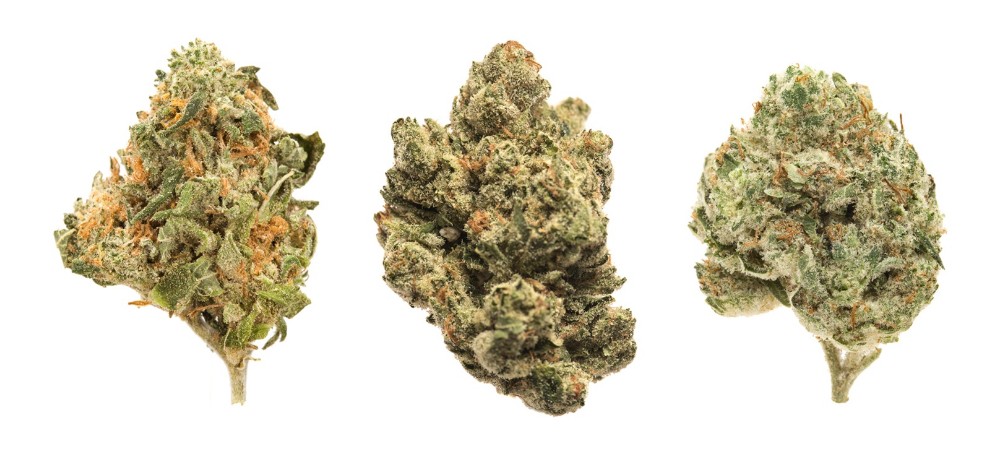 If you are looking for the best strains with high pinene concentration then MMJ Express weed store is the best place to buy it online in Canada.