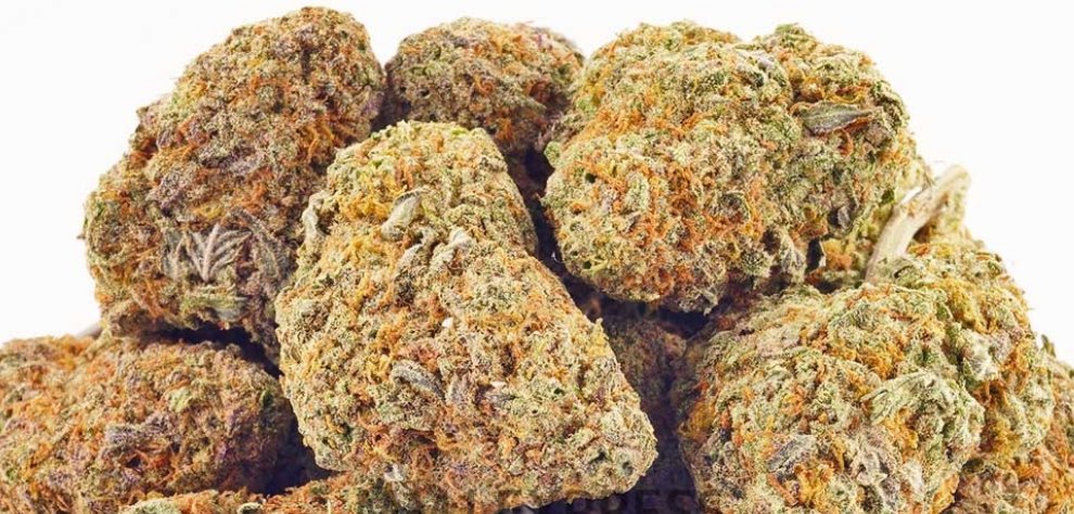 Are you looking to enjoy the relaxing high of the Pink Bubba strain? Visit MMJ Express for premium quality Pink Bubba strains. We offer cheap weed in Canada for your utmost pleasure.