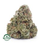 Buy Cannabis Cookies & Cream AA at MMJ Express Online Shop