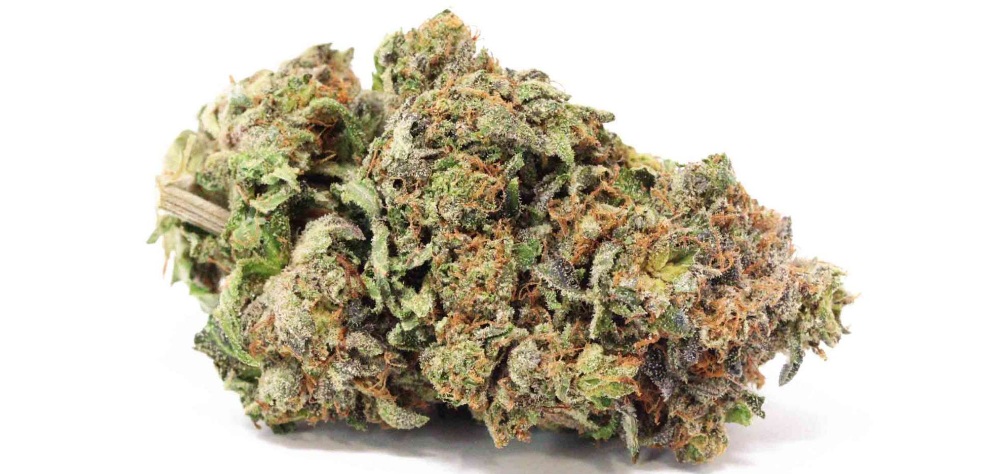 The Death Bubba weed strain is one of the most powerful, sleep-inducing Indica hybrids available on the market. 