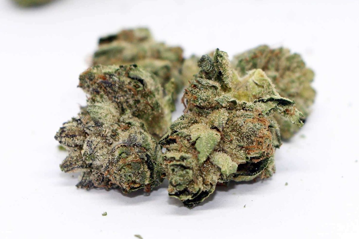 This article on Death Bubba vs Pink Kush will not only elevate your cannabis experience but also help you save tons of money. Keep reading this.