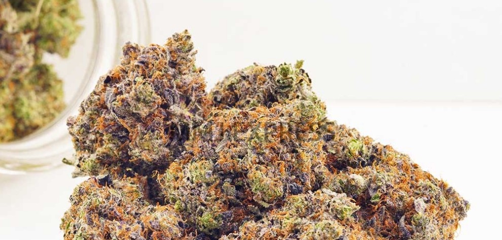 Indica lovers who want to feel tranquillized will enjoy Death Bubba. This is a suitable strain if you want to get rid of inflammation, stress, and anxiety.