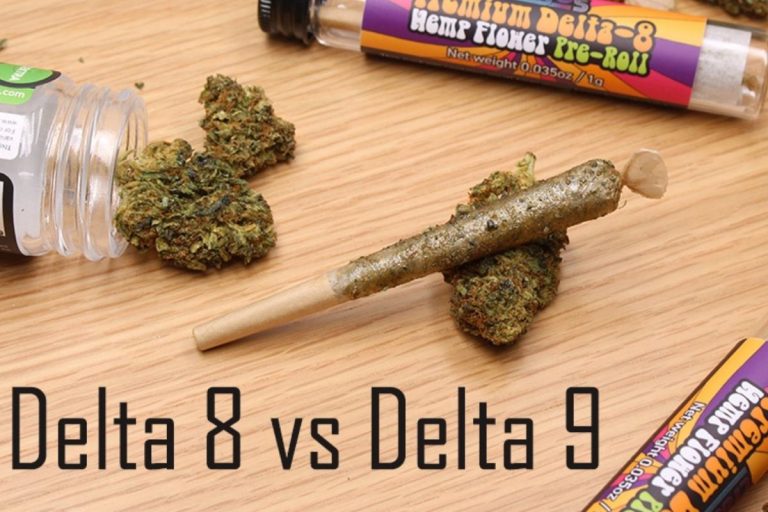 Delta 8 THC Vs Delta 9 THC - Difference Between Both