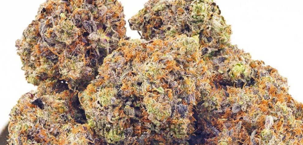 Do you want to try something even more daring? Get yourself some Diablo Death Bubba AAAA+, a top-shelf Indica leaning strain with up to 27 percent of THC.