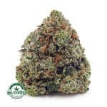 Buy Cannabis Cotton Candy Kush  AAAA at MMJ Express Online Shop