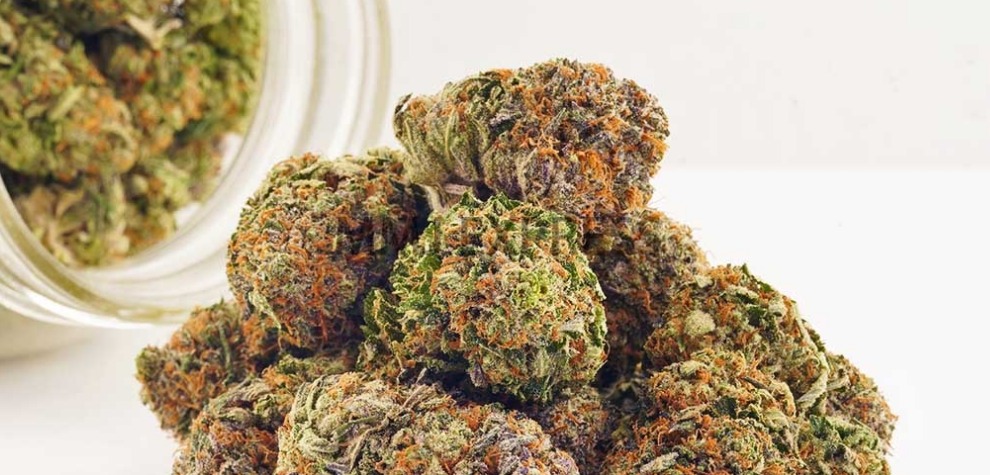 Number five on our best deals on weed at our dispensary list is the classic OG Kush strain. 