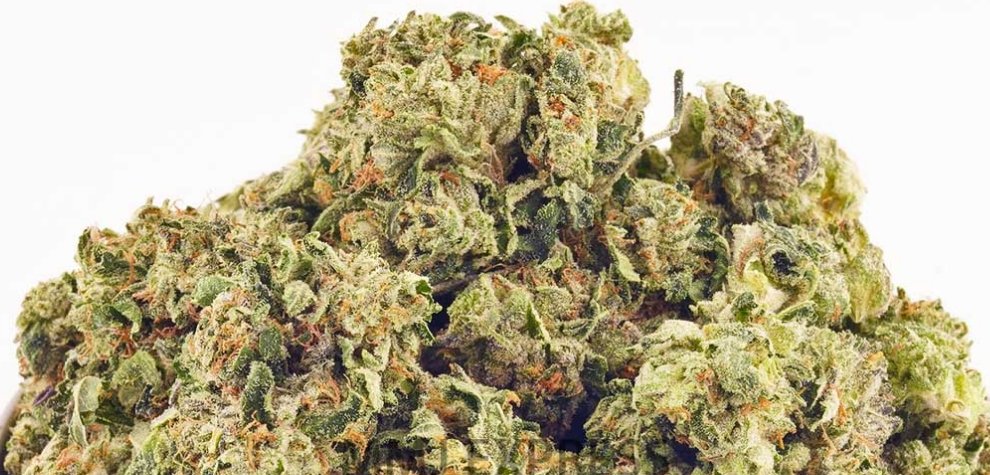 The Pink Bubba strain is an Indica dominant strain (80 percent) popular for delivering full-body relaxation to its users. 
