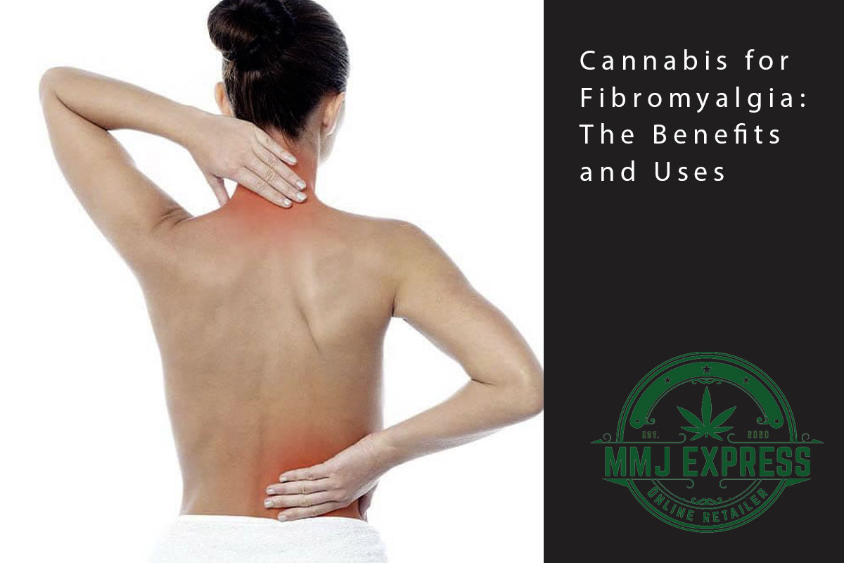 mmj blog fibromyalgia