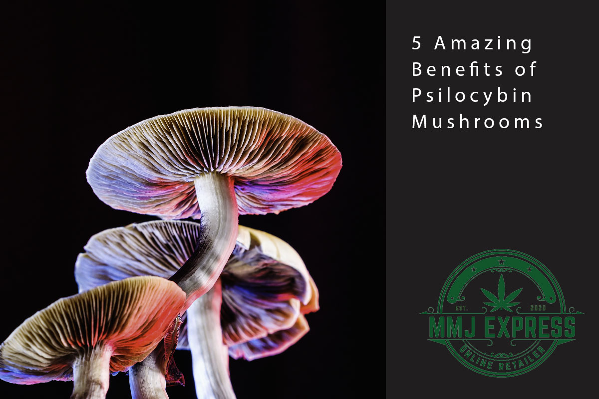 mmj blog mushroom benefits