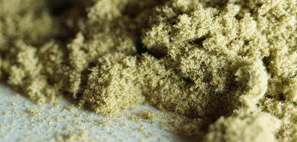 Weed to make bubble hash from MMJ Express online weed dispensary and mail order marijuana weed store for BC cannabis, Alberta cannabis, and weed online Canada.