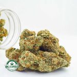 Buy Cannabis Gas Leak - God's Breath AAAA at MMJ Express Online Shop