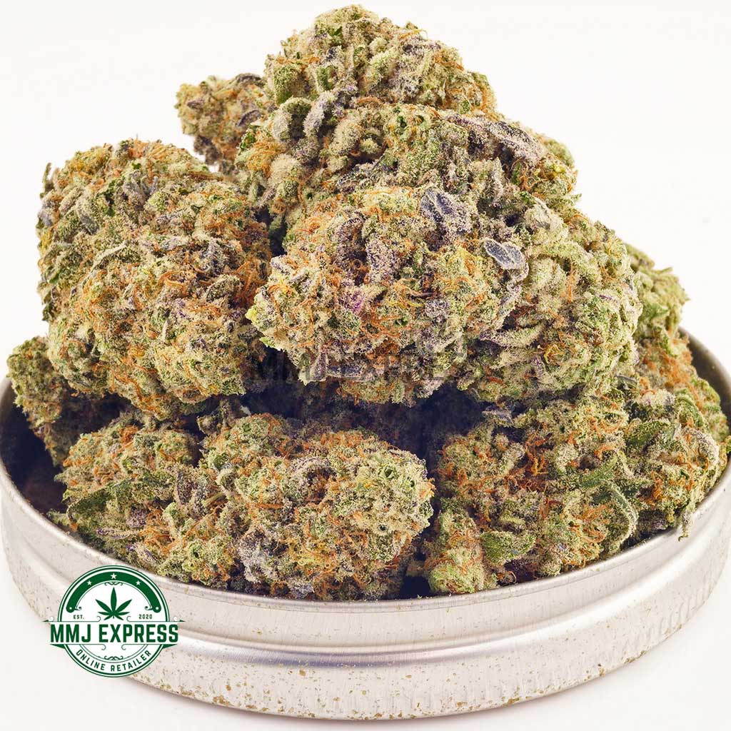 Buy Cannabis Dosi Sherbet AAAA at MMJ Express Online Shop