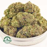 Buy Cannabis Blueberry Rockstar AAAA at MMJ Express Online Shop