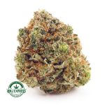 Buy Cannabis Ghost Ship AA at MMJ Express Online Shop