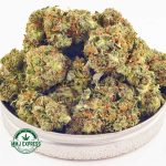 Buy Cannabis Ghost Ship AA at MMJ Express Online Shop