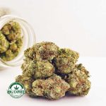 Buy Cannabis Ghost Ship AA at MMJ Express Online Shop