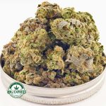 Buy Cannabis Sour Kush AA at MMJ Express Online Shop