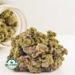 Buy Cannabis Sour Kush AA at MMJ Express Online Shop