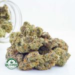 Buy Cannabis Shiva Skunk AA at MMJ Express Online Shop