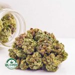 Buy Cannabis Hindu Kush AAA (Popcorn) at MMJ Express Online Shop