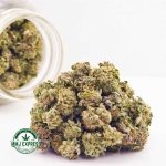 Buy Cannabis Citrus Skunk AAA (Popcorn) at MMJ Express Online Shop