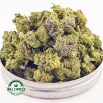 Buy Cannabis New York Power Diesel AAA (Popcorn) at MMJ Express Online Shop