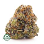 Buy Cannabis El Chapo AA at MMJ Express Online Shop
