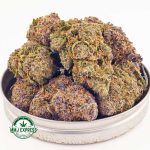 Buy Cannabis Purple Tropicana AA at MMJ Express Online Shop