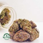 Buy Cannabis Purple Tropicana AA at MMJ Express Online Shop