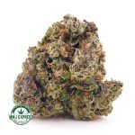 Buy Cannabis Master Kush Ultra AA at MMJ Express Online Shop