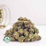 Buy Cannabis Granddaddy Purple AAAA (Popcorn) at MMJ Express Online Shop