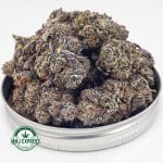 Buy Cannabis Jet Fuel Gelato AAAA at MMJ Express Online Shop
