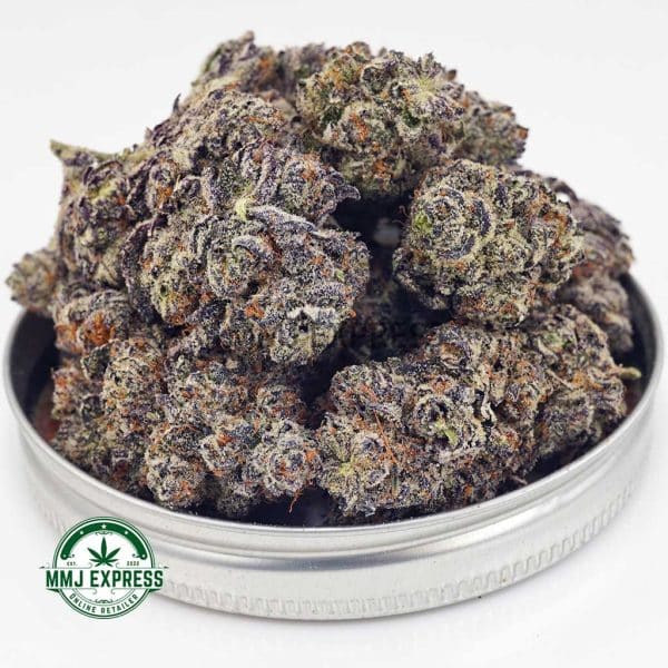 Buy Cannabis Jet Fuel Gelato AAAA at MMJ Express Online Shop