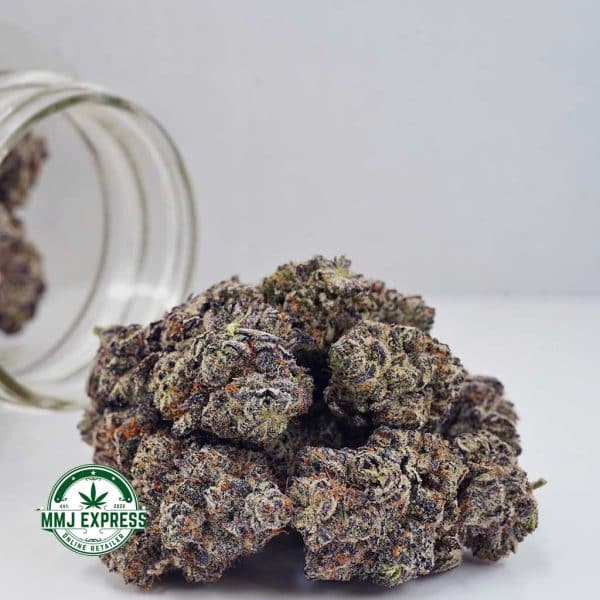 Buy Cannabis Jet Fuel Gelato AAAA at MMJ Express Online Shop