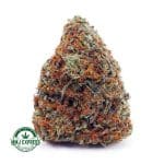 Buy Cannabis Master Kush Ultra AA at MMJ Express Online Shop