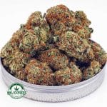 Buy Cannabis Master Kush Ultra AA at MMJ Express Online Shop