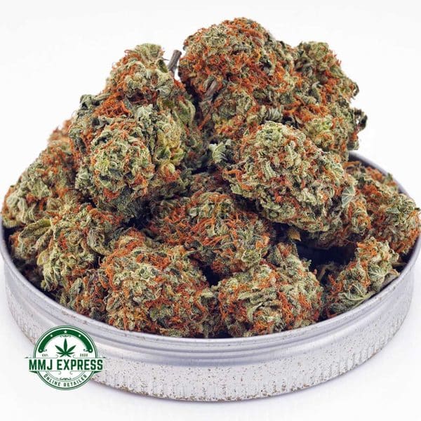 Buy Cannabis Master Kush Ultra AA at MMJ Express Online Shop