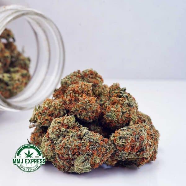 Buy Cannabis Master Kush Ultra AA at MMJ Express Online Shop