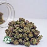 Buy Cannabis Greasy Pink AAAA (Popcorn) at MMJ Express Online Shop