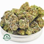 Buy Cannabis Gas Leak - Jet Fuel Gelato AAAA at MMJ Express Online Shop