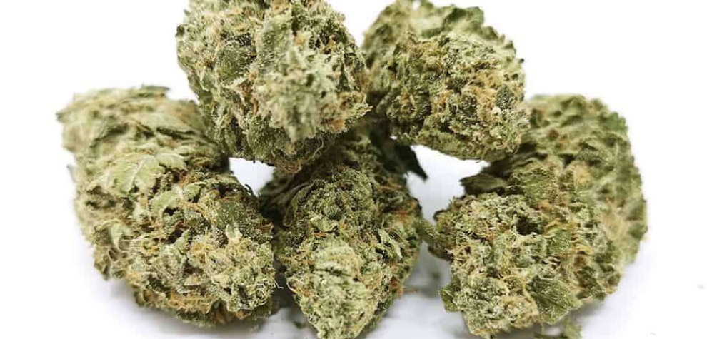 Greasy Pink Bubba Strain was created by mixing the legendary Bubba Kush genetics with the sweet Pink Kush. 