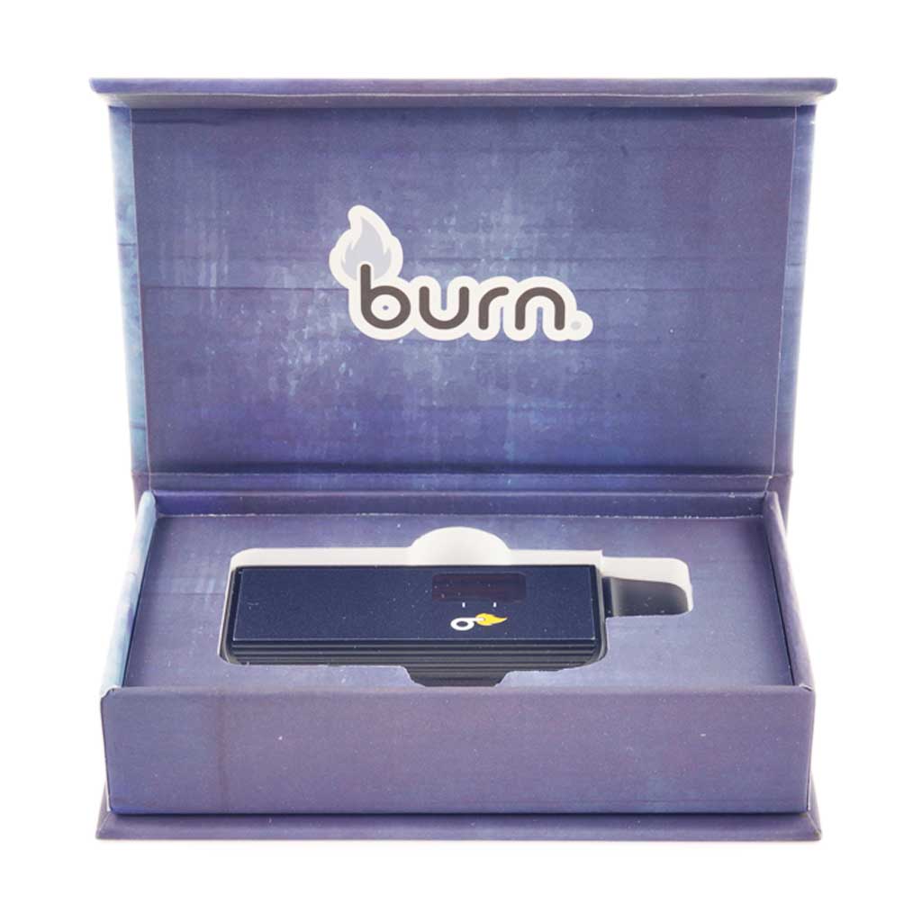 Buy Burn Extracts – Blueberry Mojitos 3ML Mega Sized Disposable Pen at MMJ Express Online Shop