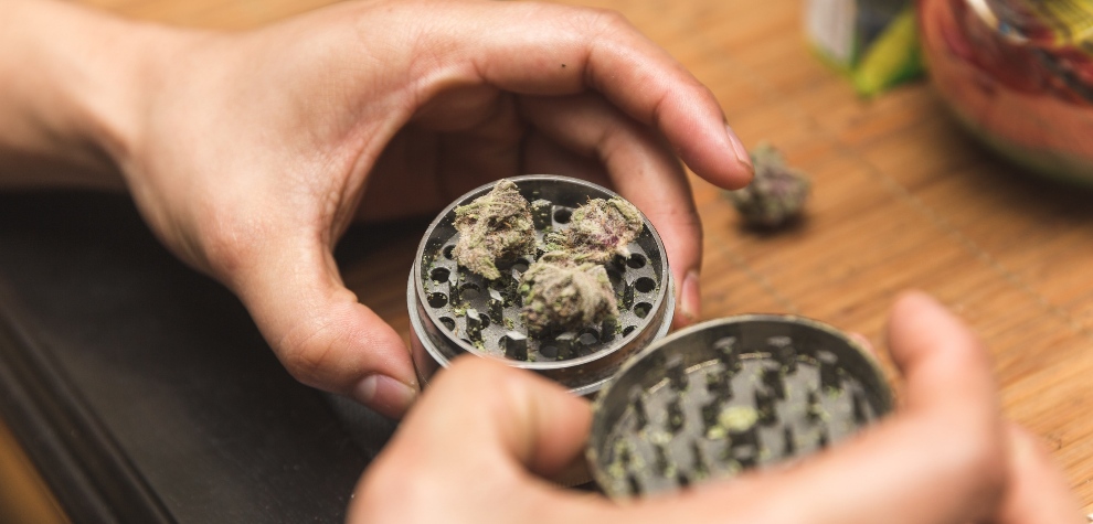 A weed grinder is lovely because it allows you to collect terpene and cannabinoid-rich kief.