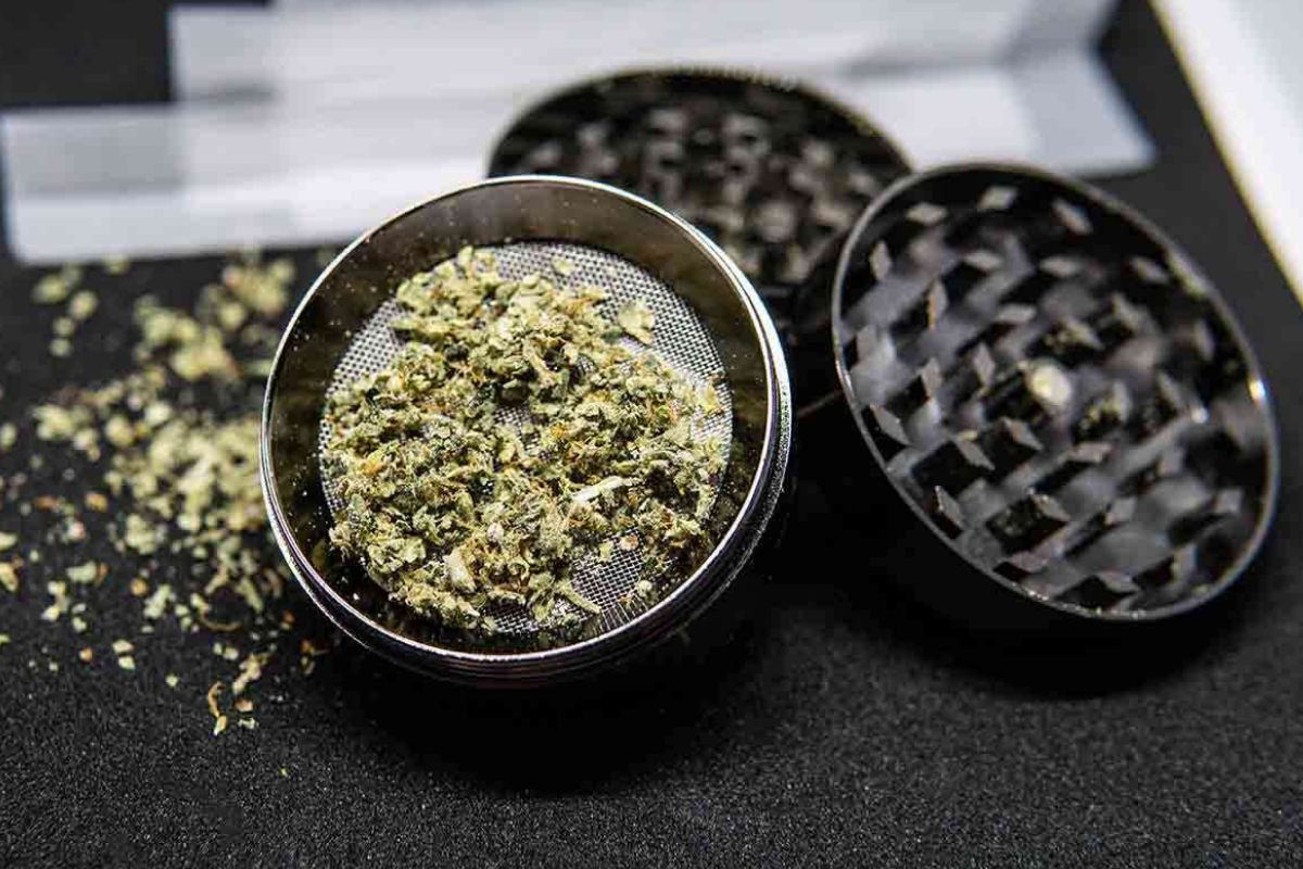 Do you know how to grind weed? What is the best way to grind cannabis? Read on to learn easy ways to grind cannabis using regular kitchen items.
