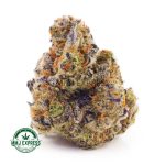 Buy Cannabis Alaskan Thunder Fuck Craft, AAAA+ at MMJ Express Online Shop